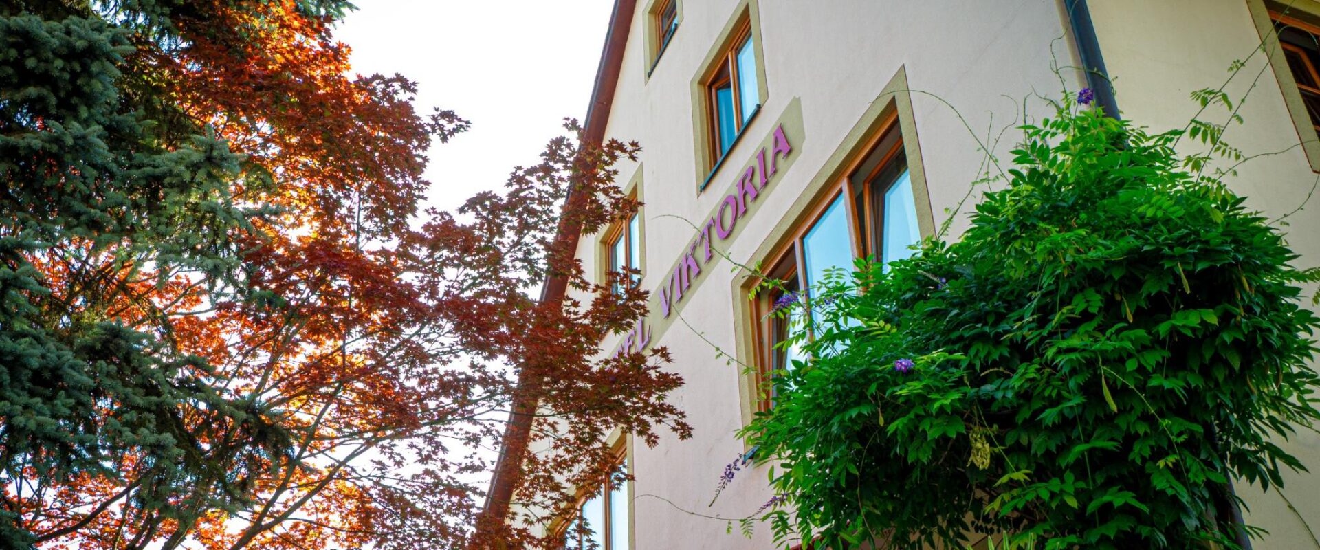hotel_viktoria_meersburg-home