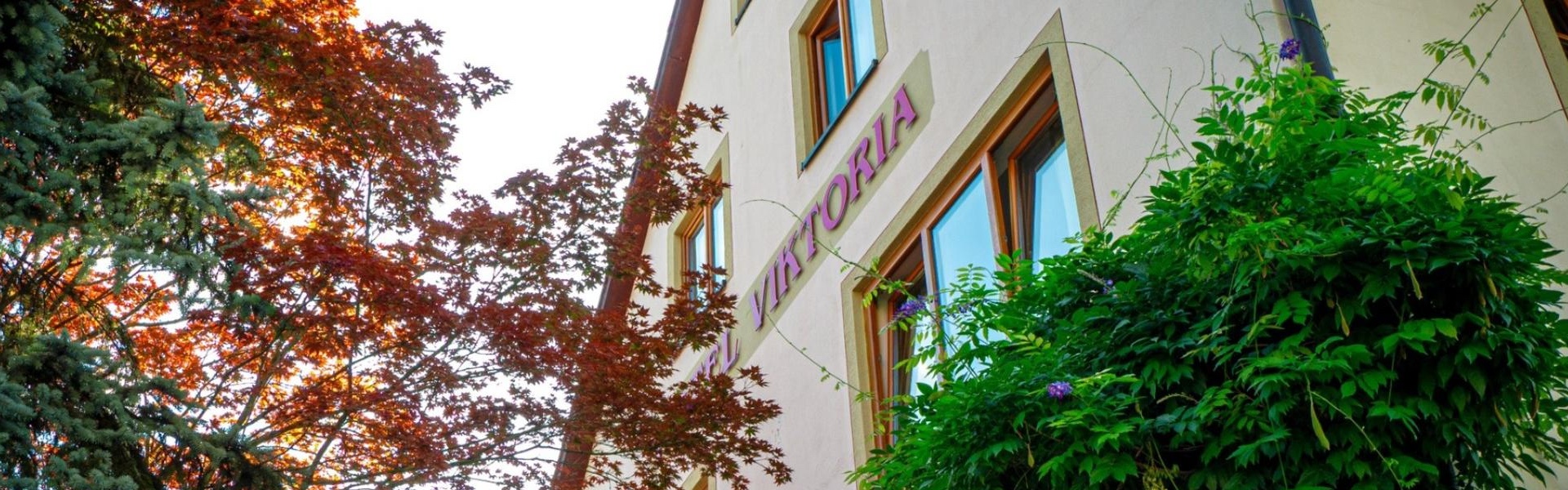 hotel-viktoria-meersburg-header